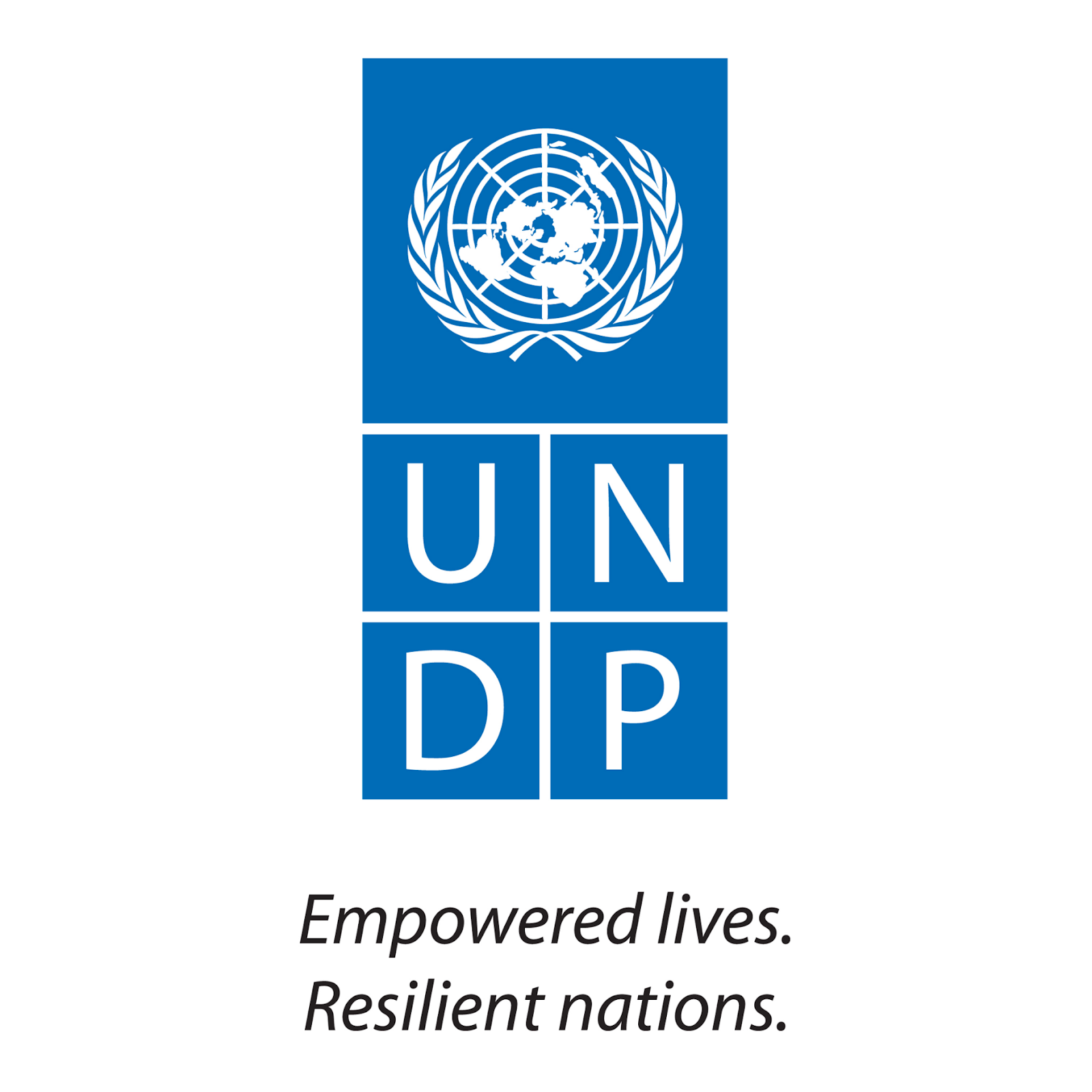 white-UNDP_Logo_Large